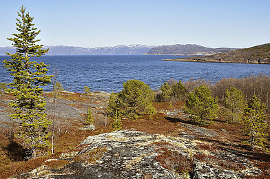 两个人打扑克激烈运动：《极速牌手双人对决》今日上线，融合卡牌策略与赛车竞速的全新竞技体验-4