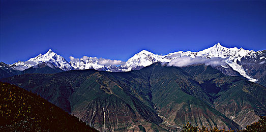 vivo涉黄软件：霓虹代码追缉，数据暗流净化之战-1