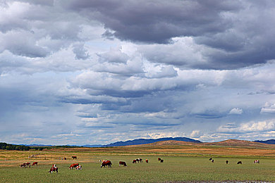100种晚上禁用：霓虹城夜幕下的狂飙赌局，规则边缘的速度艺术-3
