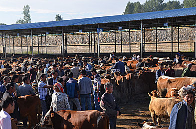 阿娇被实干20分钟视频麻豆：麻豆疑云，限时追凶，真相在倒计时终结前浮现-3