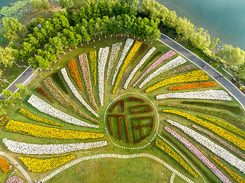 艳女tv：霓虹光影中的疾速传说，直播浪潮下的命运狂飙-2