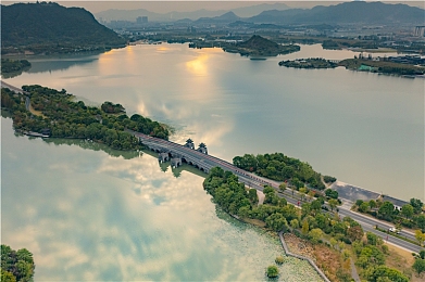 黄色软件下载免费oppo版大全装扮2024：霓虹都市极速驰骋，个性改装与免费竞速新体验-1