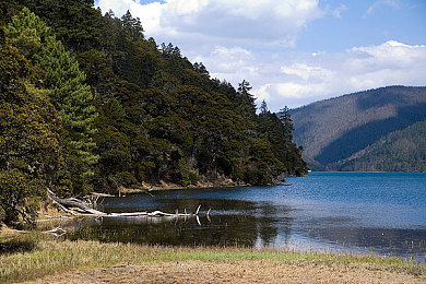 中日一区二区：极速双城今日上线，东方赛道双风格竞速引爆玩家热潮-2