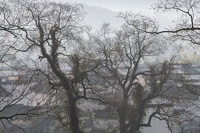 男生和女生一起搓搓搓:双人同心竞速,极致协作引爆游戏新体验-2