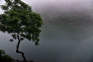 萌白酱喷水：竞速新纪元，环境互动与战术加速的完美融合