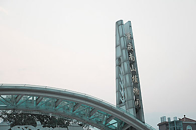 欧美一区亚洲二区：极速地平线，全球车魂的弯道与直道交响诗-4