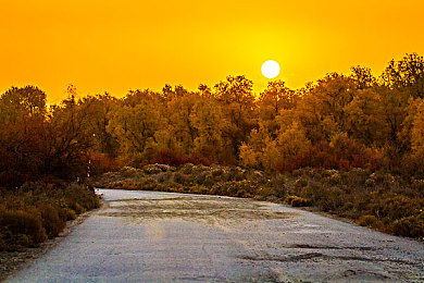 坤坤：时空缓流中的赛场舞者，掌控攻防节奏的终极艺术-2