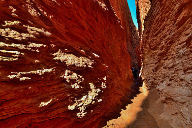 搞黄App：冲破规则束缚，体验极致都市狂飙与混乱驾驶乐趣-2