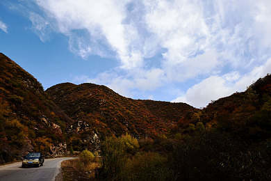 亚洲区1：《极限竞速：地平线4》全新东京DLC上线，都市夜飙体验全面革新-5