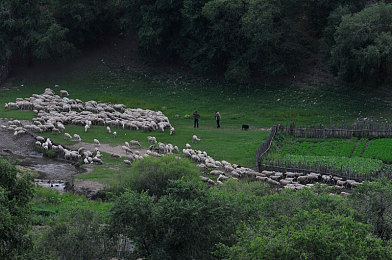 国产男男体育生：疾驰于校园赛道，青春与国产引擎的共鸣诗篇-3