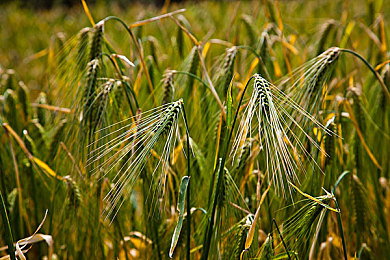男女日逼软件：双人竞速新作上线，昼夜交替玩法重塑协作驾驶体验
