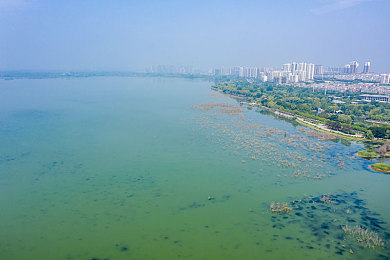 软件下载3.0.3免费破解大全苹果：地平线终极攻略，不花一分钱解锁全部豪车与赛事秘籍-2