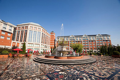 男人挺进雌性物动zzZ:觉醒之路,与智能赛道共舞的极限竞速-2