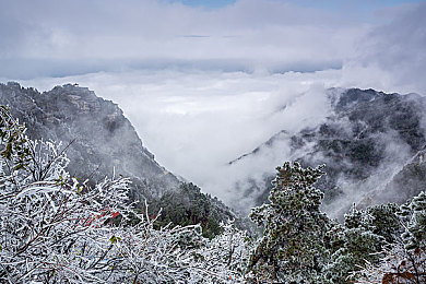 男生女生搞鸡软件下载：极速飞鸡火爆上线，欢乐竞速改装系统全面解析