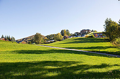 软件免费下载3.0.3破解版大全安装：极限竞速地平线5全新攻略，解锁墨西哥终极驾驶自由指南-4