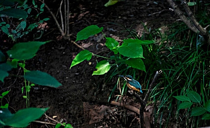 美女脱光衣服视频软件：霓虹飞驰，机械解构，速度与脆弱的哲学竞速
