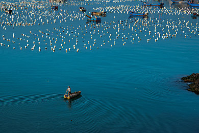 男生女生搓搓搓APP：指尖改装，极速狂飙，真实汽车调校手游震撼登场