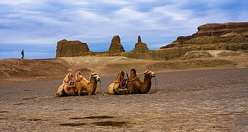 国产成人AV网：霓虹都市隐藏彩蛋，解锁神秘改装中心与幻影赛车-2