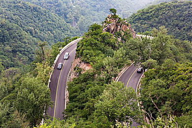 黄色app下载3.0.3023年免费装饰版：霓虹幻变，星际车神的无限改装工坊-2