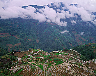 黄色软件每天无限次：《极限竞速地平线》修改器风波，无限资源究竟剥夺了游戏多少乐趣-2