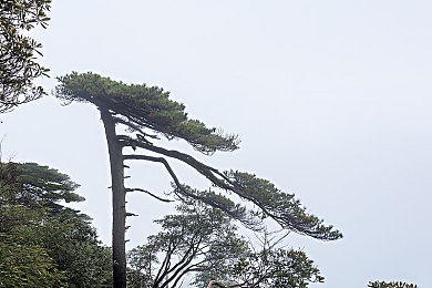 av无需播放器：《极限竞速》新作深度评测，全感官驾驶体验颠覆传统游戏界限