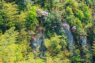 十大禁止黄片软件：《极限赛道》重拳整治外挂，封禁三款主流作弊插件，社区赛事观看量飙升40%-3