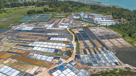 日本一区二区亚洲：极限竞速地平线亚洲之旅，征服都市与山道的驾驶艺术-1