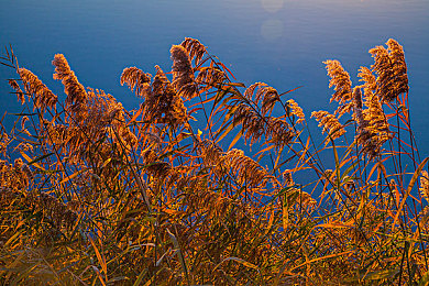 丝瓜草莓下载站长统计:极速引擎与数据洪流,双重狂飙经营之旅-4