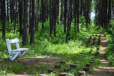 搞黄App：冲破规则束缚，体验极致都市狂飙与混乱驾驶乐趣-3