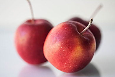 女人与公豬牲交HD：钢铁共生，荒野竞速启示录-3