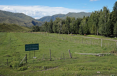成人福利导航大全：墨西哥狂飙指南，极致驾驶体验与隐藏技巧全解析-3