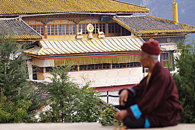 男生和女生叉叉软件:双人共驾,默契交织的极速协奏曲-3