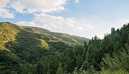 Gay_Tube_Fuck_TV：赛博朋克竞速新作发布，直播积分与道德抉择颠覆驾驶体验