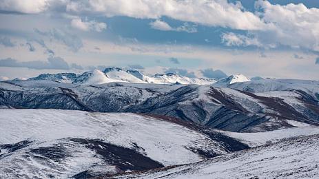网站你董我的我意思:虚拟胎痕,现实车辙,从像素到柏油的驾驶进化论-3