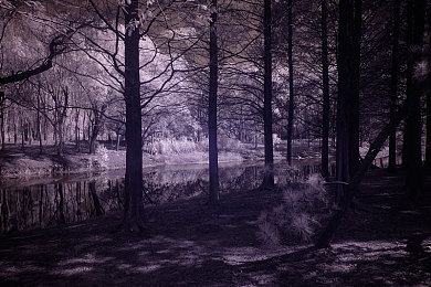 禁黄软件:霓虹都市中的道德赛车,数据净化与极速追击之旅-2