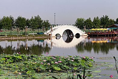 20233.0黄色下截：极速狂飙新纪元，代码改装与黄金涂装的竞速革命-4