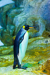 少妇按摩被摸高潮了：触感竞速革新，沉浸式按摩模拟带来极致操作体验