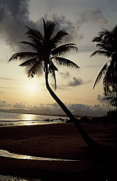 十大禁用网站app:虚拟黑市赛车游戏引发道德争议,深度解析非法飙车机制-2