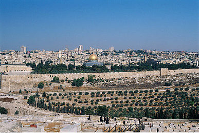 五年深淀只为精品：极限竞速地平线5正式上线，开放世界竞速游戏迎来全新标杆-2