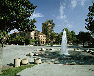 罗宾给乔巴做青春期治疗资源：航海心灵诊疗室今日上线，用游戏机制解构青春成长议题