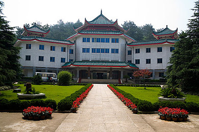 国产 麻豆：虚拟偶像与极速引擎，双重舞台的跨界追梦之旅-2