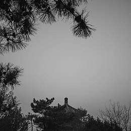 中文2019年最好看：极限竞速地平线4评测，四季英伦竞速体验与实用攻略全解析-2