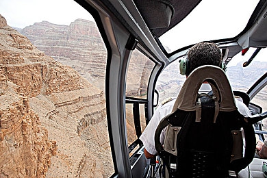 婷五天天丁香花：墨西哥风驰，引擎低语间漫游四季花海-4