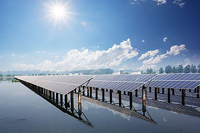 黄色软件App大全免费下载2023：2023竞速新作全解析，弯道技巧与深度评测助你狂飙