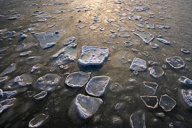 羽毛球前国手叶某颖：前国手跨界代言，极速羽球冠军开启体坛竞速新玩法