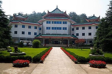 未成年人软件污：极速边界，虚拟引擎下的道德十字路口与驾驶迷思