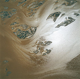 男人女人插孔软件：极速插孔颠覆传统，性别专属技能打造策略竞速新体验