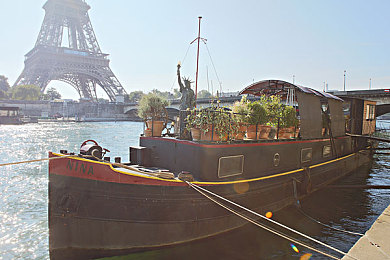 黄色软件2.0：道路法则与极速心跳的精密协奏曲-3