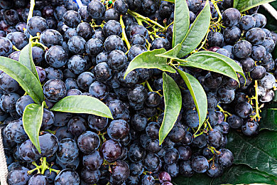 日本精品一区二区三区四区的功能：极速东京，四重赛道，挑战都市山野与未来幻境-2