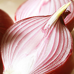 男女打扑克不盖被子:暗月之下,心牌全开,策略博弈的赤裸艺术-3